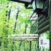 森の中のコテージ　翠