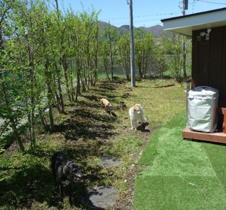 トレーラーハウス INASARAH